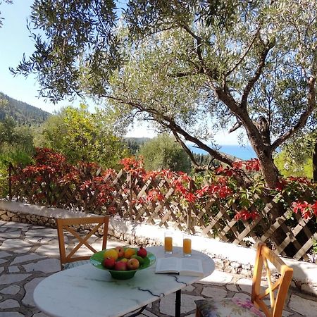 Agios Nikitas Villas Luaran gambar